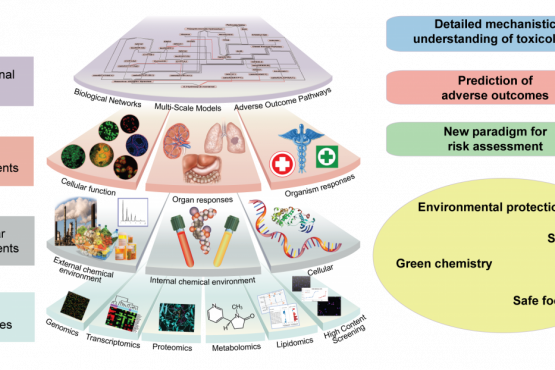 Pathway-based toxicology