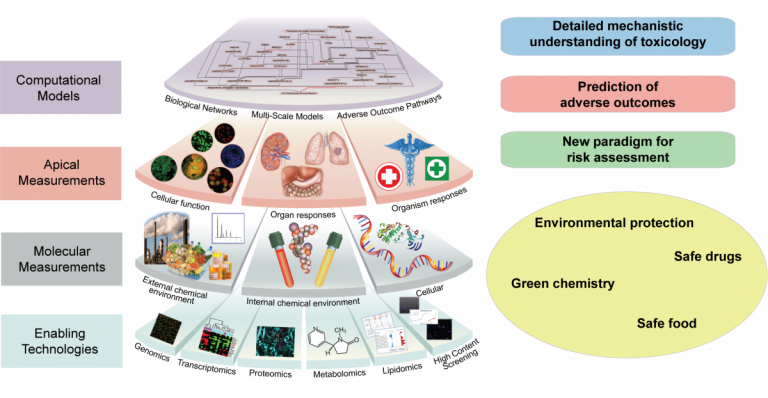 Pathway-based toxicology