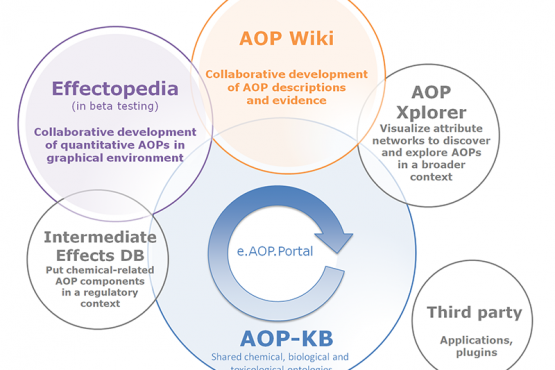 Pathway-based toxicology