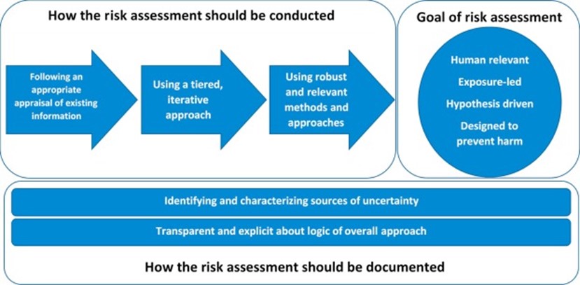 Documenting Risk Assessment Diagram